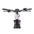 CTM Roxxy GX női E-bike fekete / világos lila