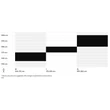 CTM Rambler 2.0 férfi Mountain Bike sizechart