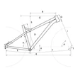 CTM Zephyr 29 férfi Mountain Bike geometria