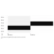 CTM Suzzy 1.0 női Mountain Bike sizechart
