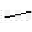 CTM Koyuk 3.0 férfi Gravel Kerékpár sizechart