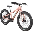 Cannondale Kids Trail Plus 20&quot; Gyerek Kerékpár Salmon