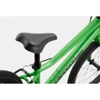Cannondale Quick 20&quot; Gyerek Kerékpár Green
