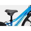 Cannondale Trail 20 Gyerek Kerékpár electric blue