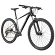 Cannondale Trail 29 SL 4 férfi Mountain Bike grey