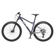 GT Avalanche 29 Expert férfi Mountain Bike purple