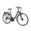 Gepida Alboin 300 28 W 24S női Trekking Kerékpár sötétlila