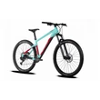 Ghost Nirvana Trail Universal 29 férfi Mountain Bike Green/Red