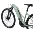 Giant Liv Rove E+ 25km/h 2022 női E-bike Laurel