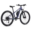Giant Liv Tempt E+ Junior 26 2022 Gyerek E-Bike 22km/h one size
