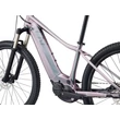 Giant Liv Vall E+ 2 25km/h 2022 női E-bike echeveria