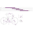 Giant Liv Thrive Advanced 0 női Fitness Kerékpár sizechart