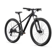 Giant Liv Tempt 29 3 2022 női Mountain Bike metallic black