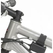 Lupine Betty R 7