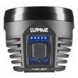 Lupine Betty R 7