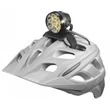 Lupine Betty R 7