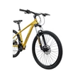 Neuzer Duster Sport Hydr férfi Mountain Bike currysárga