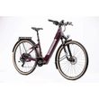 Kép 2/14 - ock Machine Crossride INT e450 Touring Unisex E-bike /Matte Crimson/Silver/29x19.0" (L)