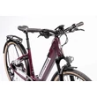 Kép 8/14 - ock Machine Crossride INT e450 Touring Unisex E-bike /Matte Crimson/Silver/29x19.0" (L)