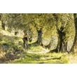 Stevens Camino AXS férfi Gravel Kerékpár