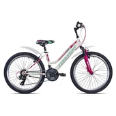 Gyerek kerékpár 24