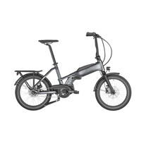 Bergamont Paul-E EQ Edition unisex E-Bike flaky silver-black