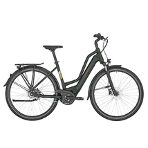 Bergamont E-Horizon N8 CB Amsterdam unisex E-bike matt gloomy green