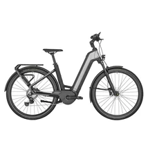 Bergamont E-Ville Edition unisex E-bike shiny flaky silver