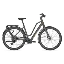 Bergamont E-Vitesse Elite Amsterdam unisex E-bike matt rainbow black 