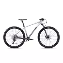 CTM Rascal 1.0 férfi Mountain Bike ezüst / szürke