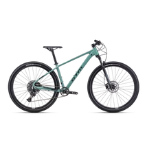 CTM Rambler 4.0 férfi Mountain Bike matt szürkészöld / fényes fekete