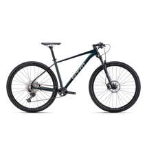 CTM Rascal 2.0 férfi Mountain Bike sötétzöld / króm