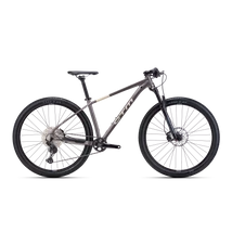 CTM Rascal 3.0 férfi Mountain Bike selyemfényű sötétszürke / bézs