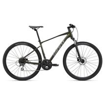 Giant Roam Disc 3 2022 férfi Cross Kerékpár phantom green