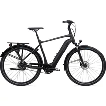 Giant DailyTour E+ 2 BD GTS D 25km/h 2022 férfi E-bike panther