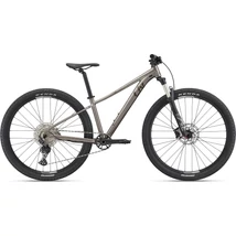 Giant Liv Tempt 29 0 2022 női Mountain Bike metal