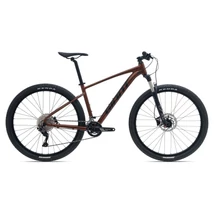 Giant Talon 29 1 (GE) 2022 férfi Mountain Bike hematite