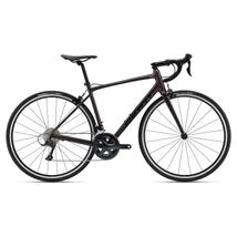Giant Contend 1 2022 férfi Országúti Kerékpár rosewood