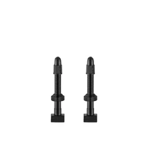 Giant Szerszám Tubeless Valve Stem x2 for 42MM High Profile Rim