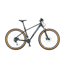 KTM Ultra Fun 29 2021 férfi Mountain Bike black matt (grey+gold)