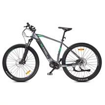 MS Energy M100 MTB férfi E-Bike 9 SP 29/21 sötétszürke-zöld