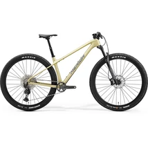 Merida 2024 BIG.NINE TR 5000 férfi Mountain Bike selyem pezsgő (kék/fekete)
