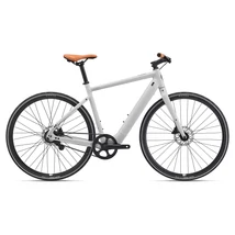 Momentum Voya E+2 25km/h unisex E-bike Lunar