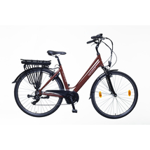 Neuzer Hollandia Delux női E-bike barna-fehér