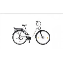 Neuzer Zagon E-Trekking MXUS teleszkópos villával női E-bike fehér-arany-fekete