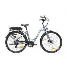 Neuzer Wildtrak EC200 E-City Eu Plug női E-bike