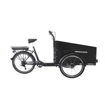 Neuzer Carry Mega Heavy Duty unisex E-bike 