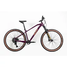 Neuzer Jumbo Pro férfi Mountain Bike lila