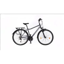 Neuzer Ravenna 200 Férfi Trekking Kerékpár s.szürke-kék matt