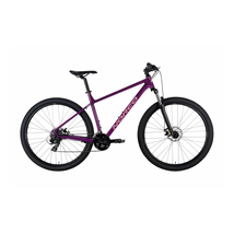 Norco Storm 5 27,5 férfi Mountain Bike purple-pink